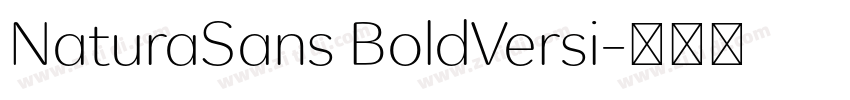 NaturaSans BoldVersi字体转换